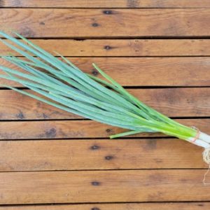 Scallion