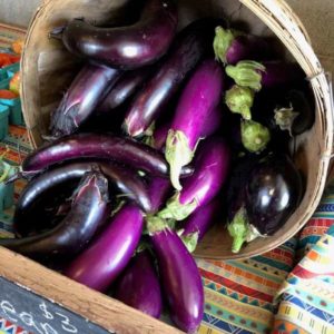 Eggplant