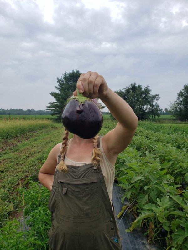 Eggplant Head