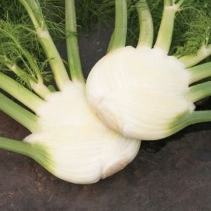 fennel