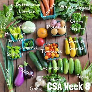 CSA Harvest List